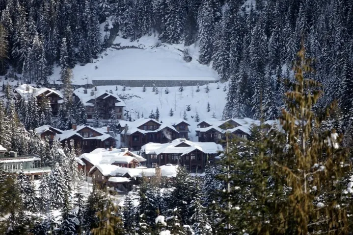 View of snowy yard