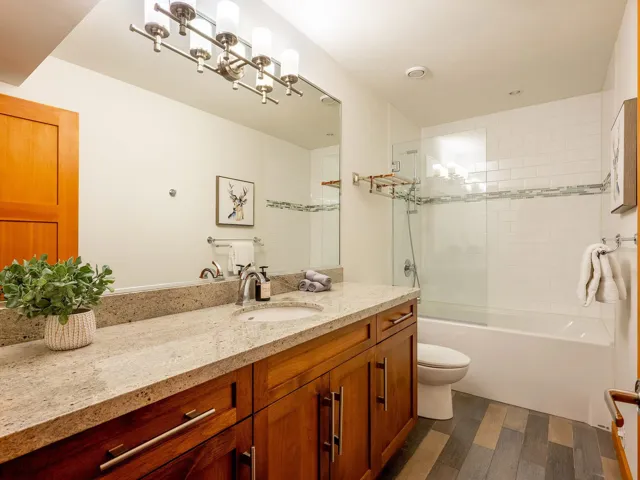 Bathroom featuring dark wood finished floors, vanity, and bathtub / shower combination