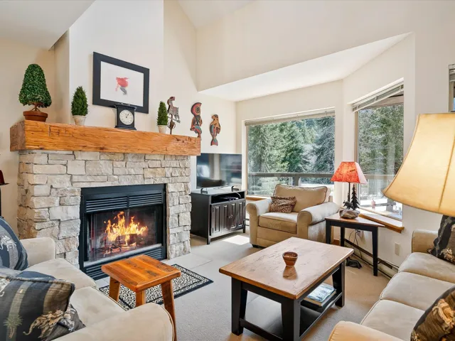 Living room with carpet flooring, a stone fireplace, and a healthy amount of sunlight