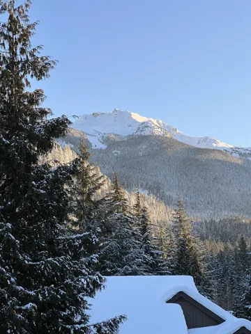 View of mountain feature featuring a view of trees