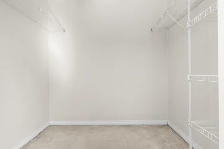 Walk in closet with light carpet