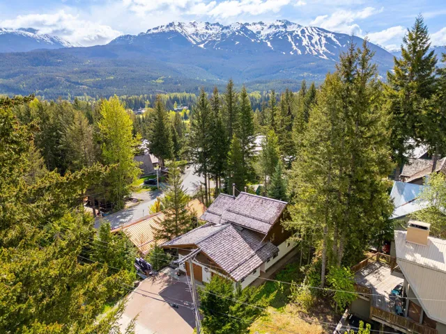 Aerial view of a mountainous background and a forest