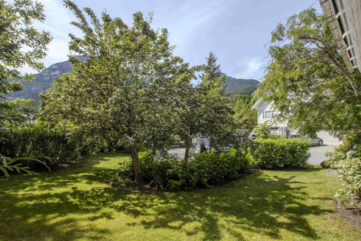 Lush green lawn with mature trees and established perimeter shrubbery