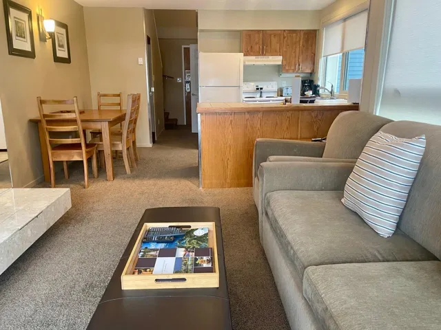 Living area with light carpet