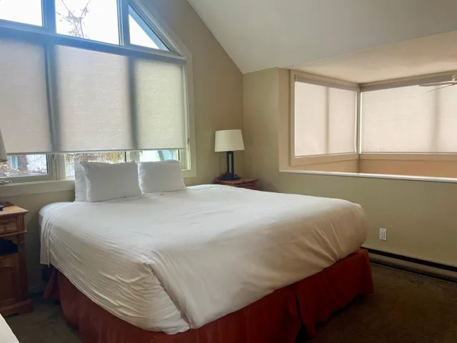 Bedroom featuring dark colored carpet, vaulted ceiling, and a baseboard radiator