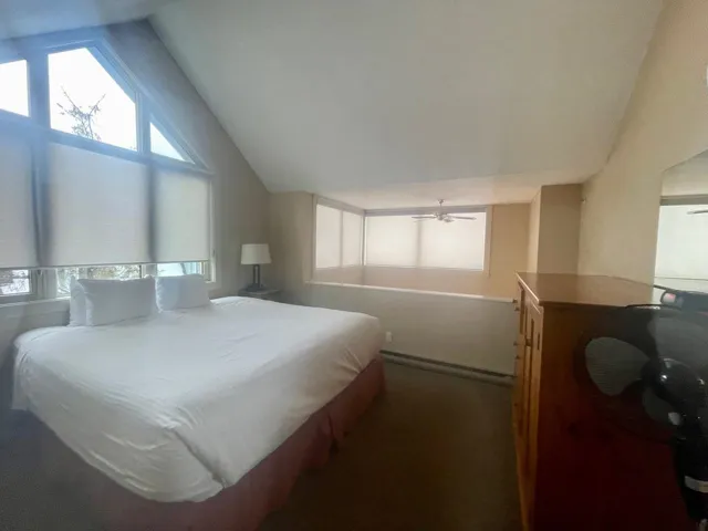 Bedroom featuring vaulted ceiling, multiple windows, and a baseboard radiator