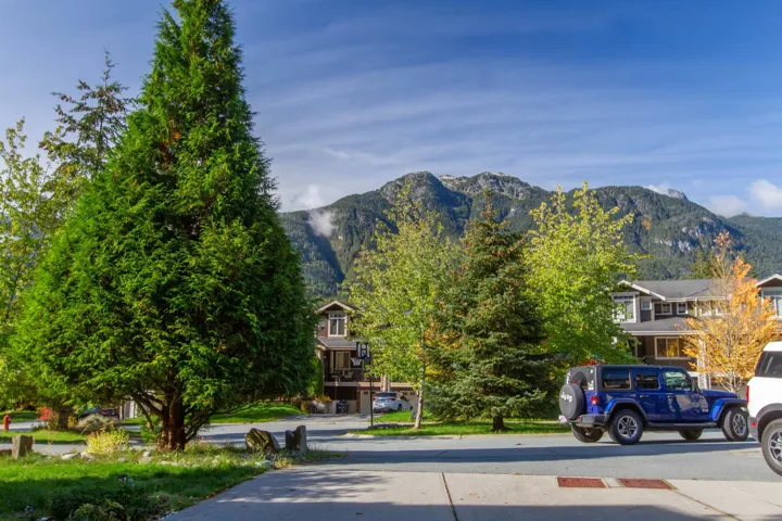 Views from the Driveway