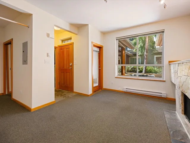 Unfurnished living room with carpet, a baseboard radiator, a fireplace, and electric panel