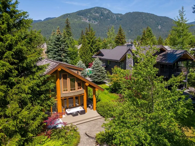 View of mountain background with a heavily wooded area