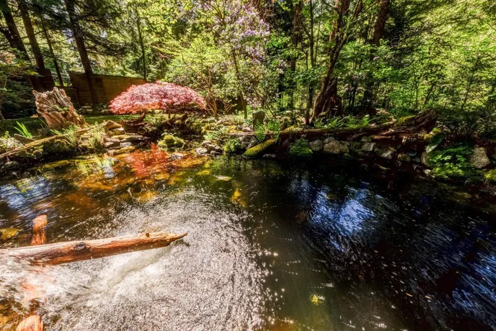 Water feature with cascading water element, surrounded by natural rock formations and dense foliage