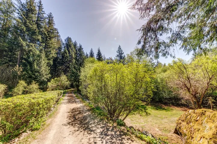 Natural landscape featuring a dirt path, bordered by manicured hedges and abundant greenery