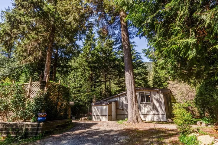 Wood-sided residence surrounded by mature evergreen trees