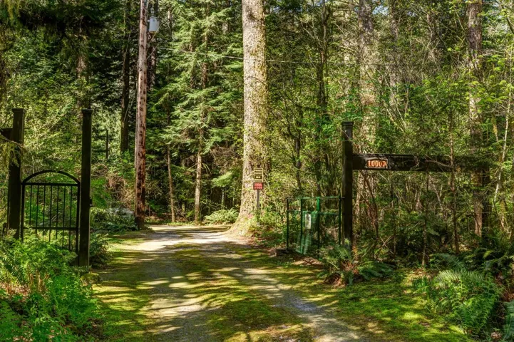 Gated entry to a private, tree-lined driveway