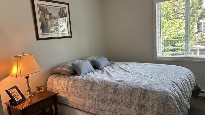 Bedroom featuring neutral wall paint, a single window with horizontal blinds, and a built-in baseboard heater