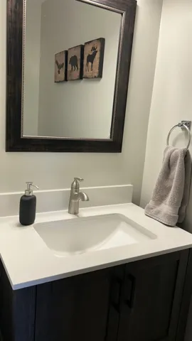 Modern vanity featuring a white undermount sink, a light-toned countertop, a brushed nickel faucet, and dark wood-finish cabinetry