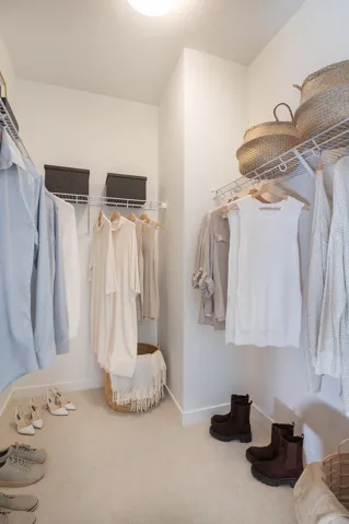 Walk-in closet featuring light beige carpeting and white walls