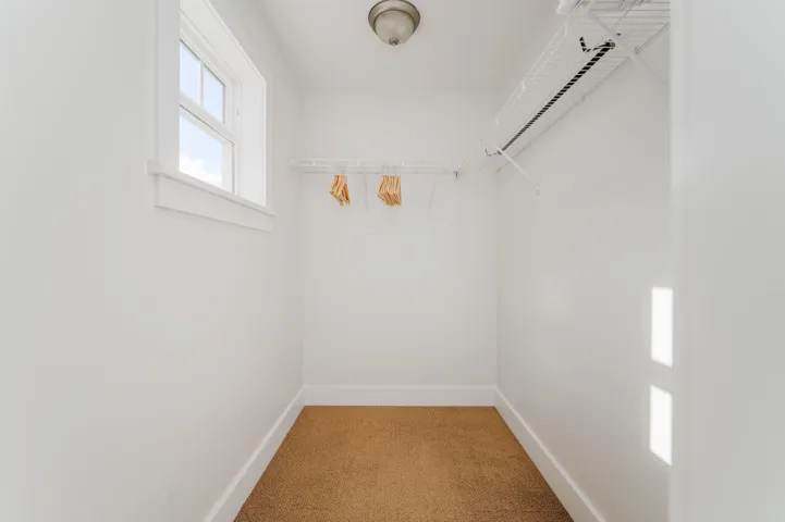 Spacious closet featuring light carpet