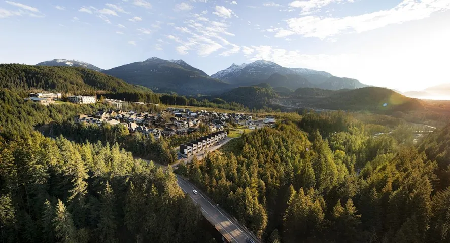 View of mountain backdrop with a forest