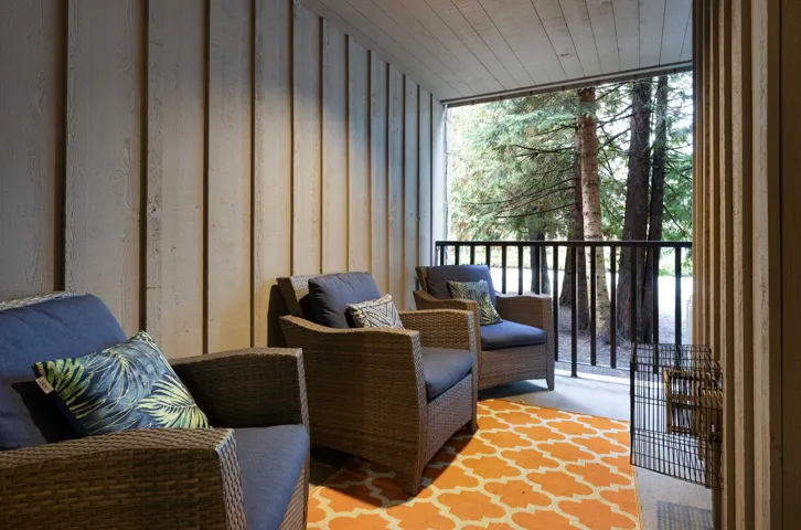 Living area with a wall of windows and carpet floors