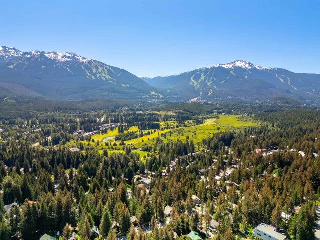View of mountain backdrop with a forest
