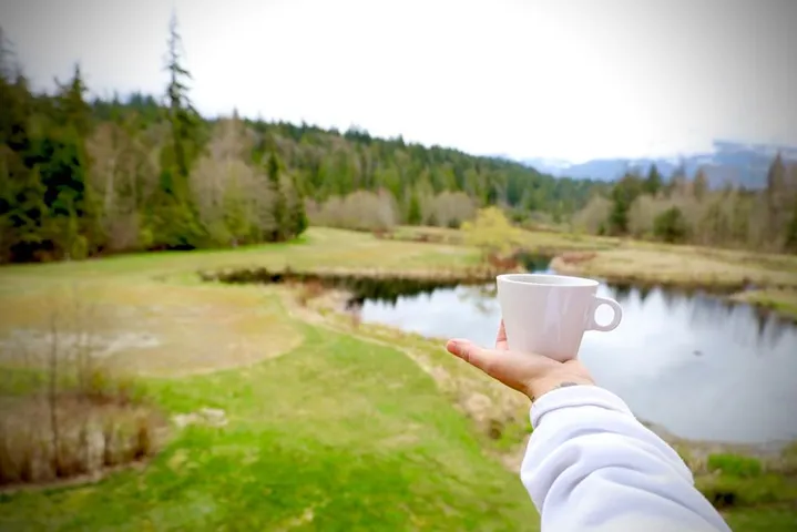 Water view with a forest