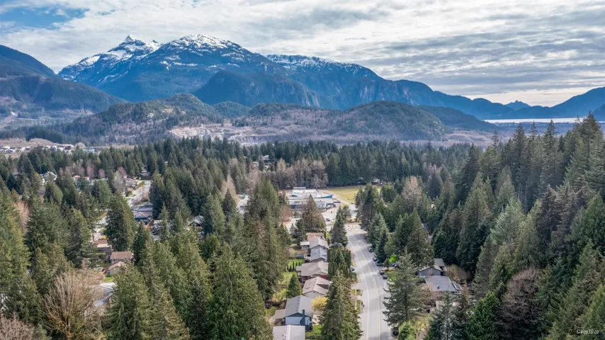 Mountain view with a forest view