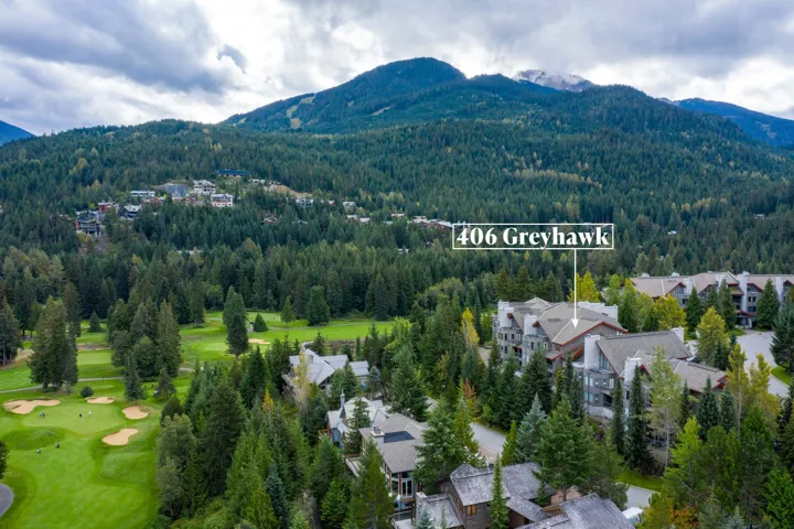 Aerial view with a forest view and a mountain view