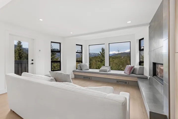 Living area with light wood-style flooring, a premium fireplace, and a healthy amount of sunlight