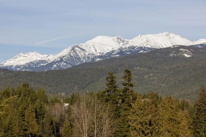 View of mountain feature featuring a wooded view
