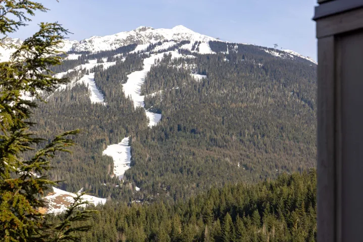 Mountain view with a forest view