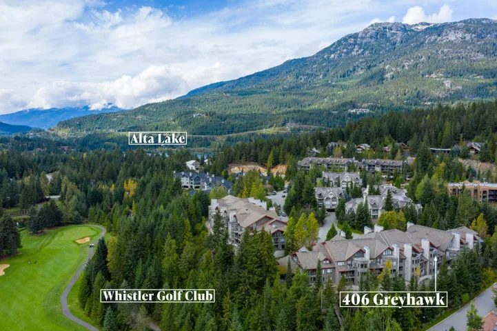 Drone / aerial view featuring a forest view and a mountain view