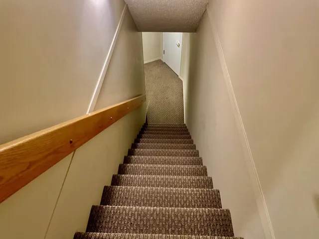 Stairs with a textured ceiling and carpet