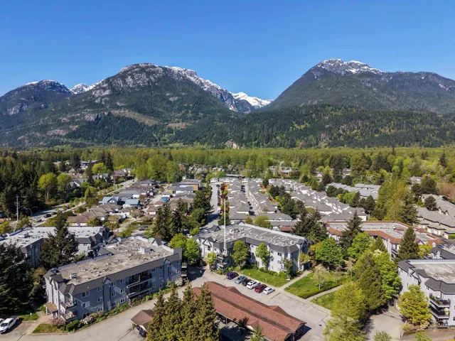 Mountain scenery featuring snow-capped peaks and forested slopes