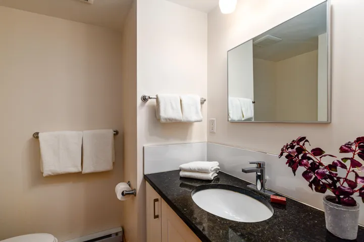 Half bathroom with vanity, a baseboard radiator, and toilet