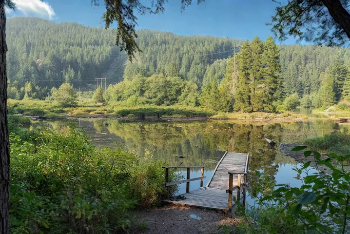 Dock with a view of trees and a water view