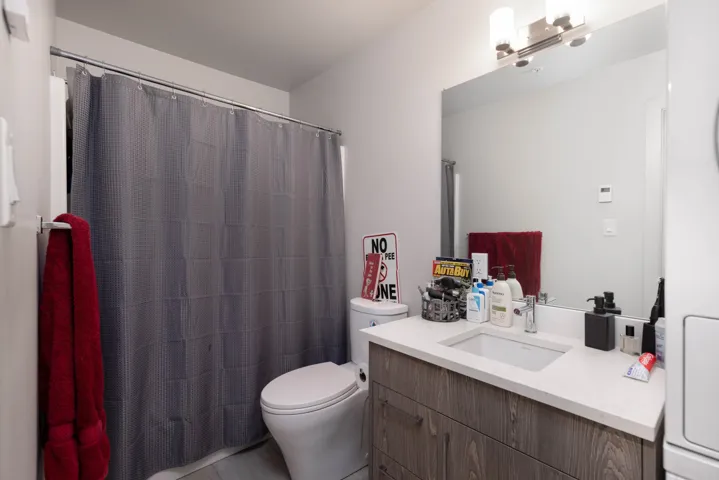 Full bathroom featuring toilet, vanity, and a shower with curtain