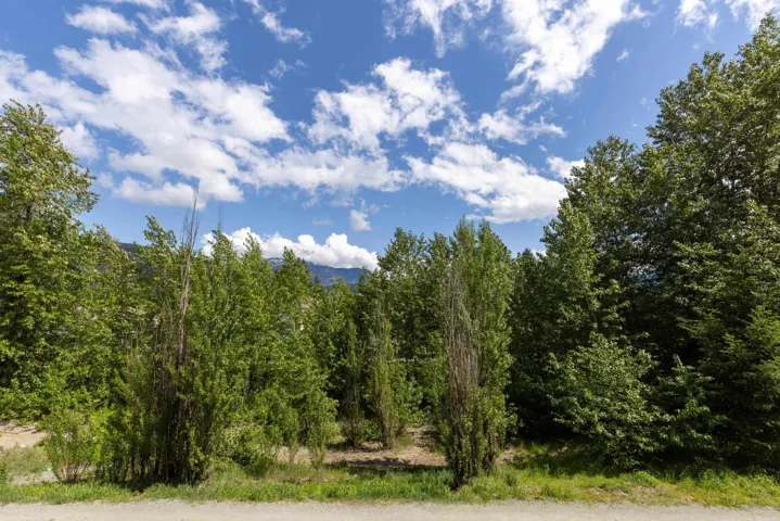 View of woods