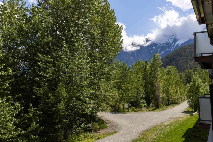 View of dirt / gravel road featuring a wooded view and a mountain view