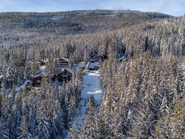 Snowy aerial view featuring a view of trees