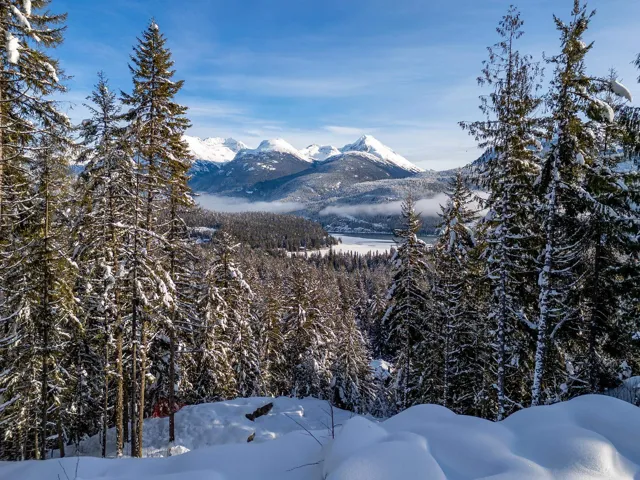 Mountain view