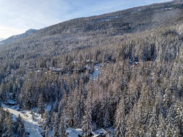 View of mountain backdrop featuring a heavily wooded area