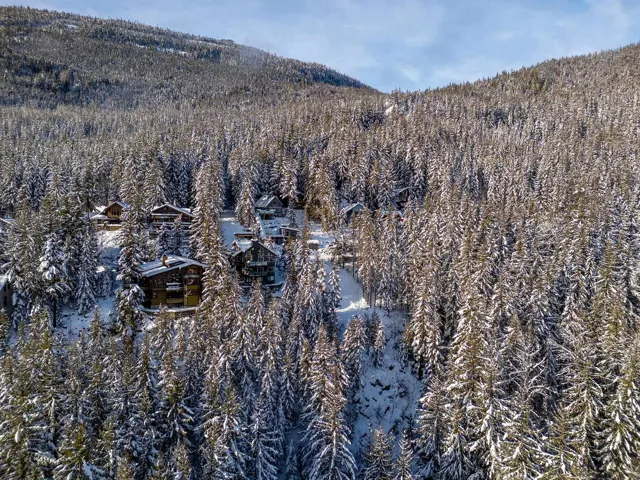 Snowy aerial view with a mountain view and a wooded view
