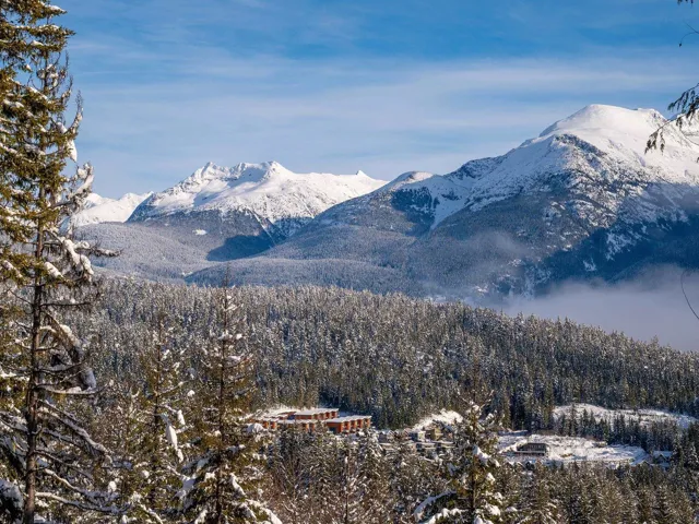 Mountain view