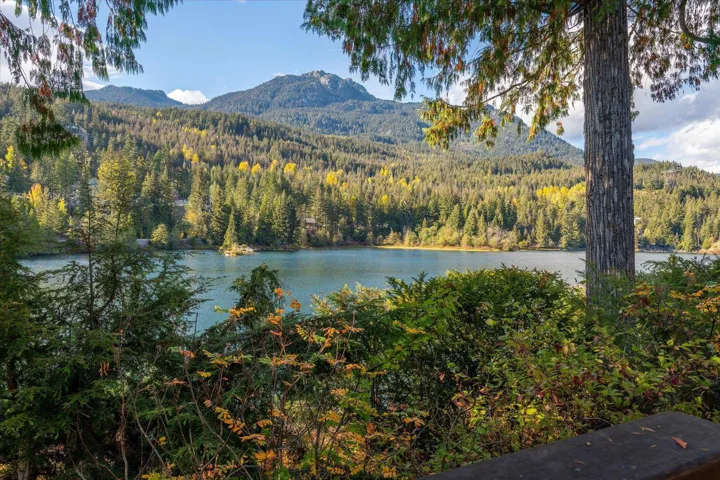 Tranquil lakefront setting with mature evergreen trees, distant mountains, and varied foliage