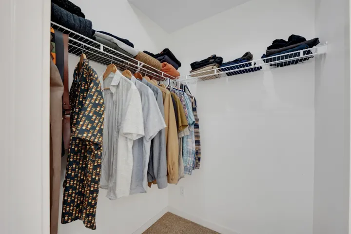 Walk in closet featuring carpet floors