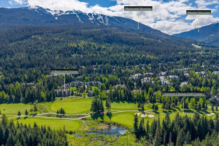 Aerial perspective showcasing a verdant golf course, surrounding residential properties, and dense forest