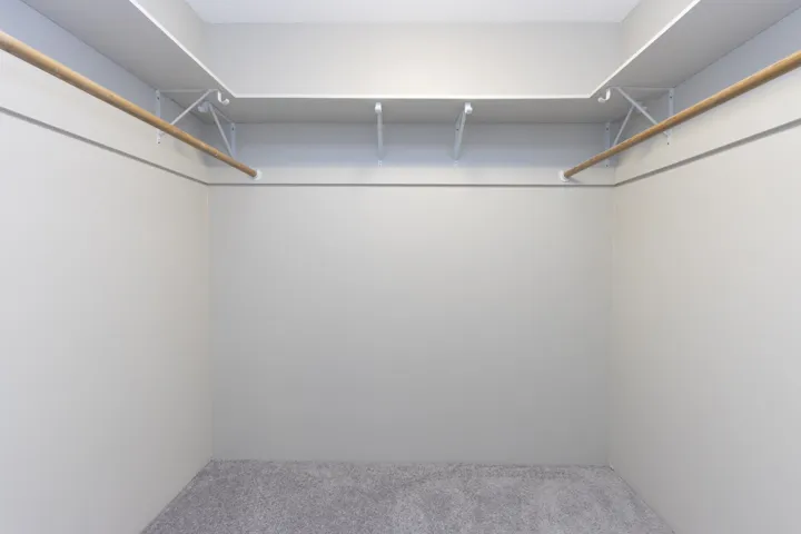 Walk in closet featuring carpet floors