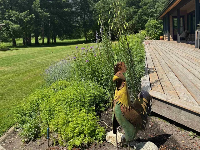 Expansive green lawn bordering a natural wood deck