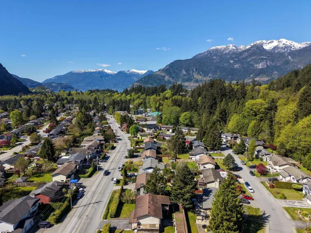 Aerial perspective showcasing residential properties amidst lush tree coverage