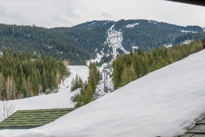View of mountain backdrop featuring a heavily wooded area